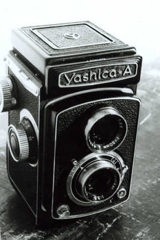 Yashica