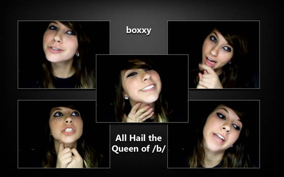 boxxy wallpaper