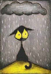 Black Cat Stuck In Rain