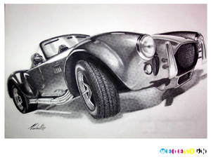 SHELBY COBRA