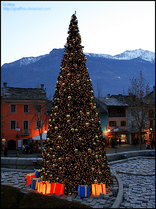 Christmas Tree - Saint Vincent