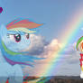 Rainbowdash Clouds Sky wallpaper