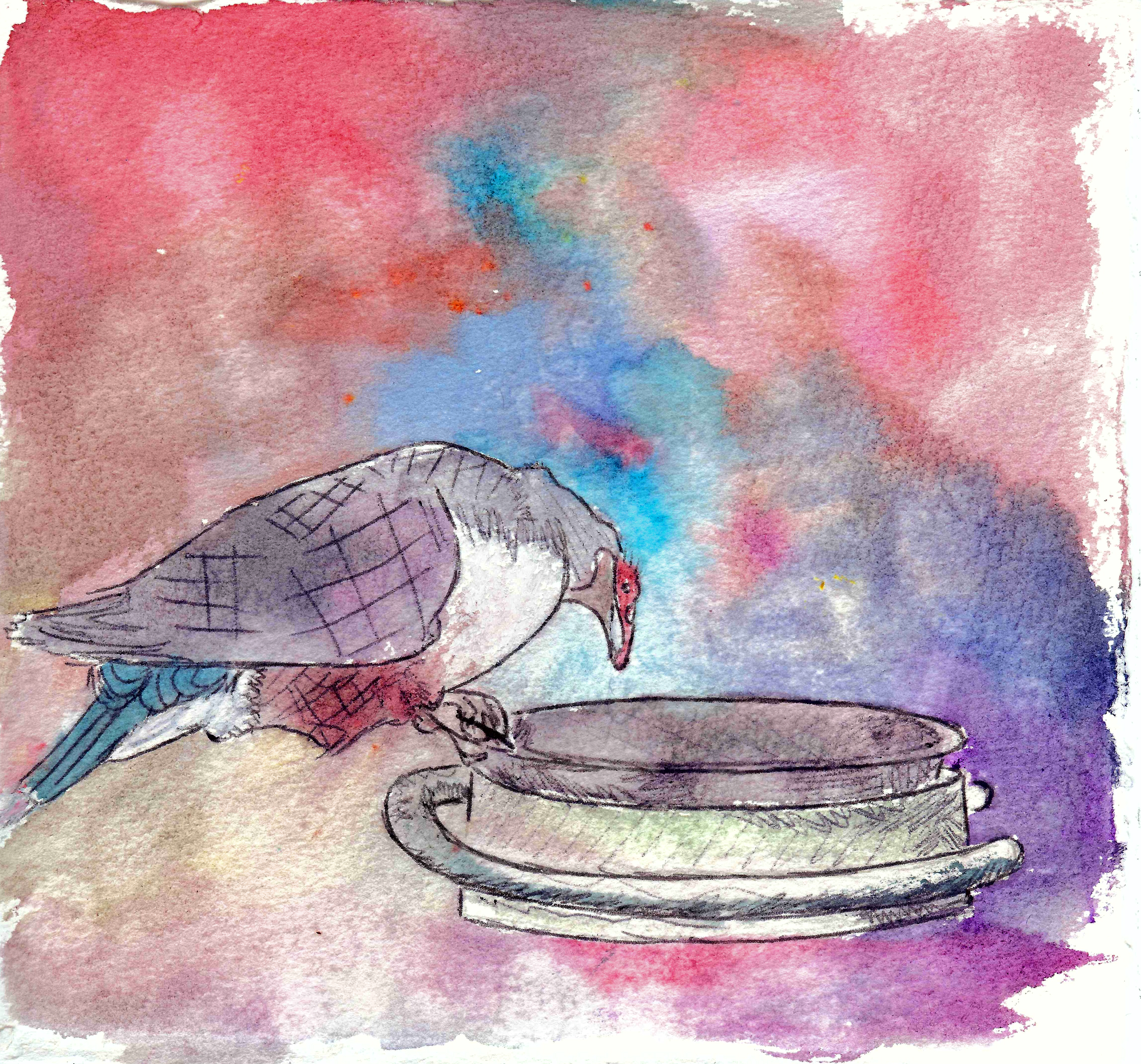 Bird and the Dish
