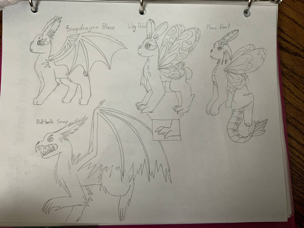 Draw Magical Rabbits Magical Rabbits by Skyperchfan on DeviantArt