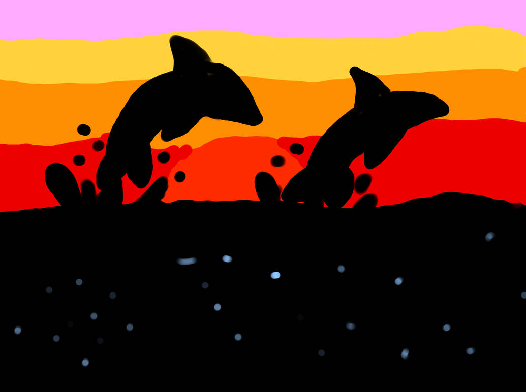 Dolphin Sunset by Skyperchfan on DeviantArt