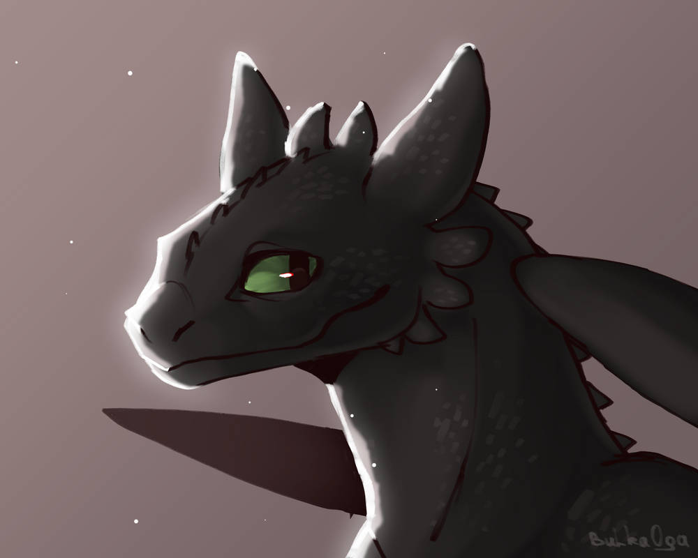 Toothless by BulkaaOga on DeviantArt