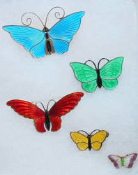 A Bevy of Butterflies