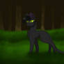 Hollyleaf