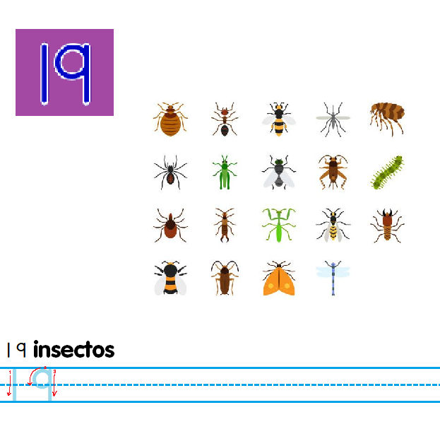 19 Insects 19 Insectos by BobCleghorn on DeviantArt