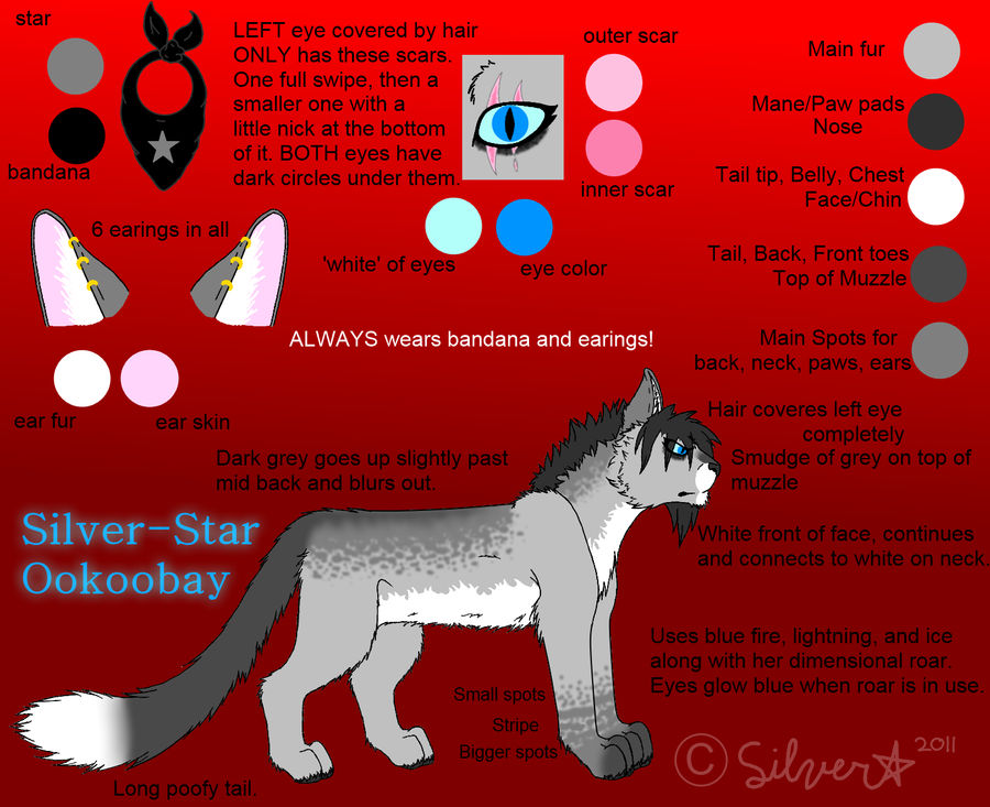 Silver-Star Ookoobay Ref 2011