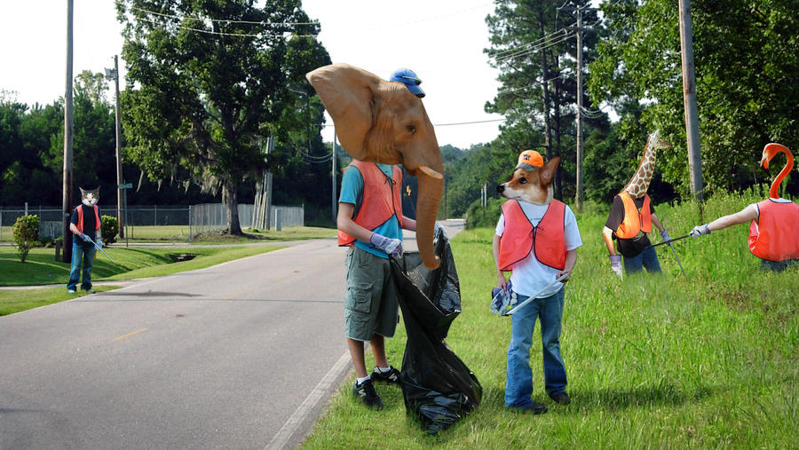 Community Service Animals