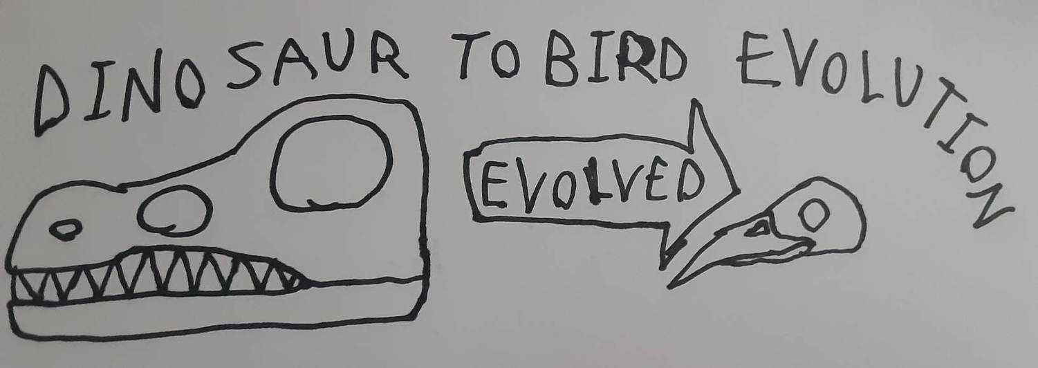Bird Evolution Deviantart Dinosaur to Bird Evolution by TheUnlucky13th on DeviantArt