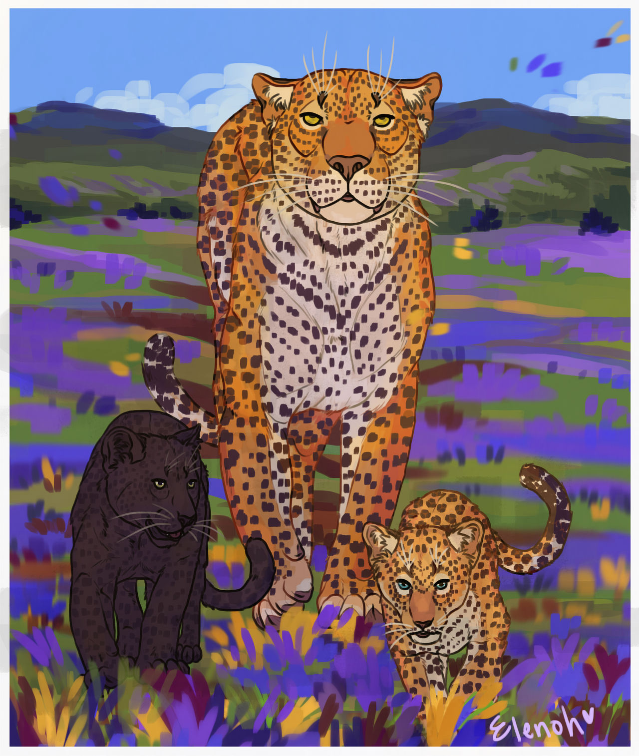 Leopard by Elenoh on DeviantArt