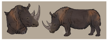 Woolly Rhino