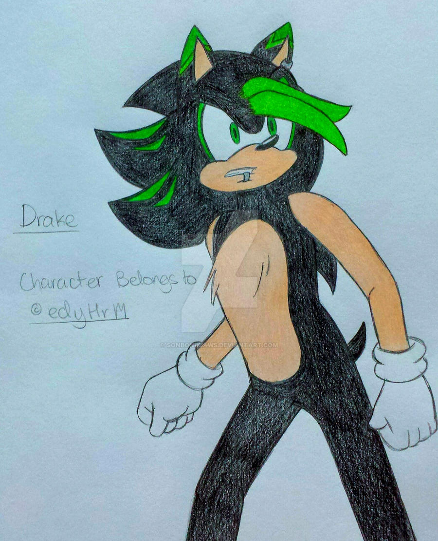 Art Trade: Drake The Hedgehog