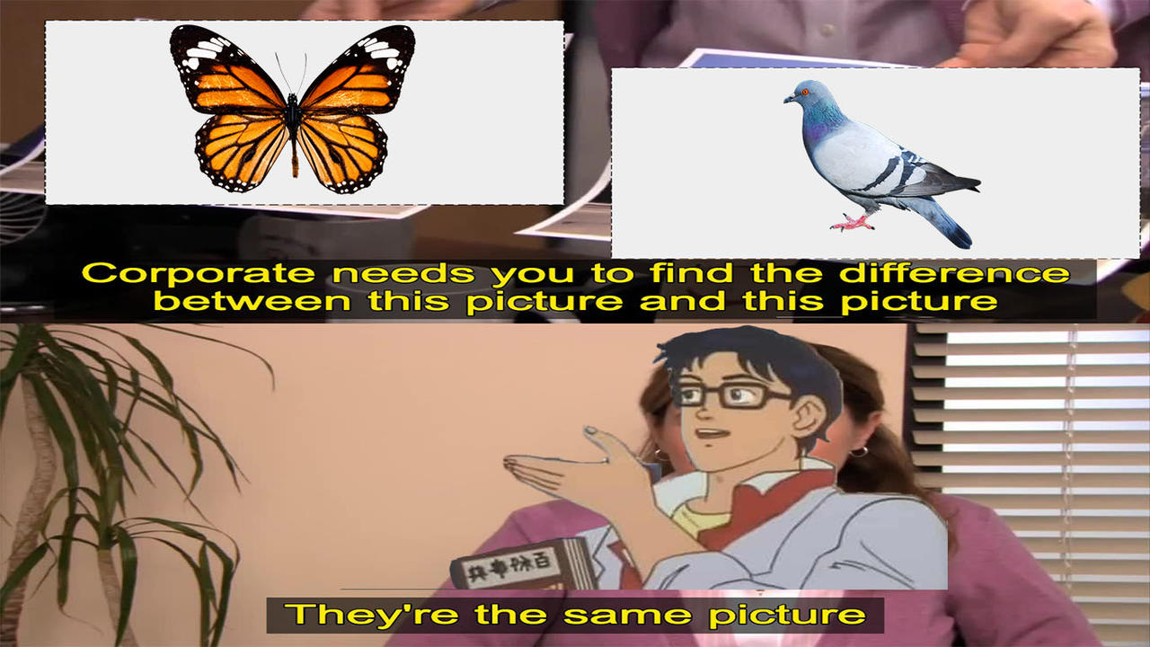 Same Picture Meme by TortelliniTorchic on DeviantArt