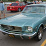 Metallic Blue Mustang