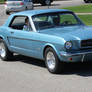 The Boys and Their Mustang