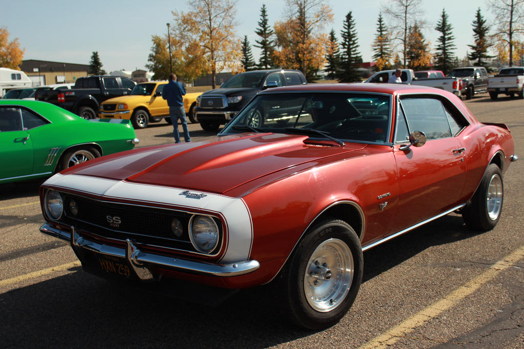 Copper Camaro