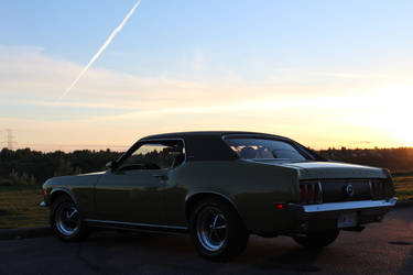 Mustang's Are Resting and Planes Fly Overhead