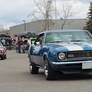 Cruisin' Camaro's