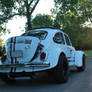 Herbie Watching The Sunset