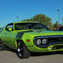 Roadrunner's Turned Green