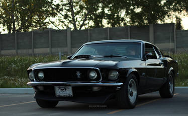 Fastback Pony