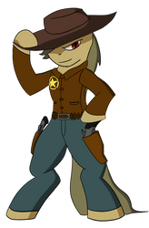 Cowboy pony