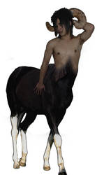 Pinoy Centaur