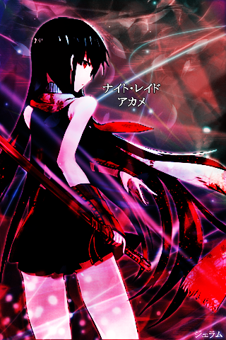 Night Raid - Akame