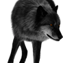 Shadowbanish Transparent