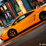 Gallardo