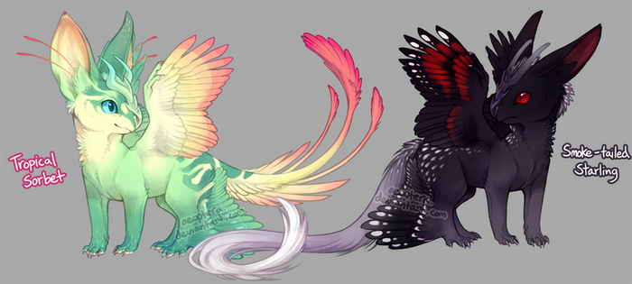 Teacup Dragon Auction! Tails 'n Speckles! [CLOSED]