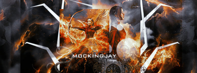 Mockingjay