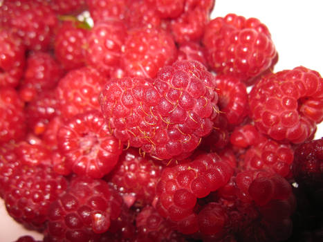 raspberry heart