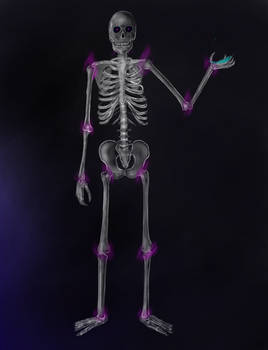 Skeleton Practice