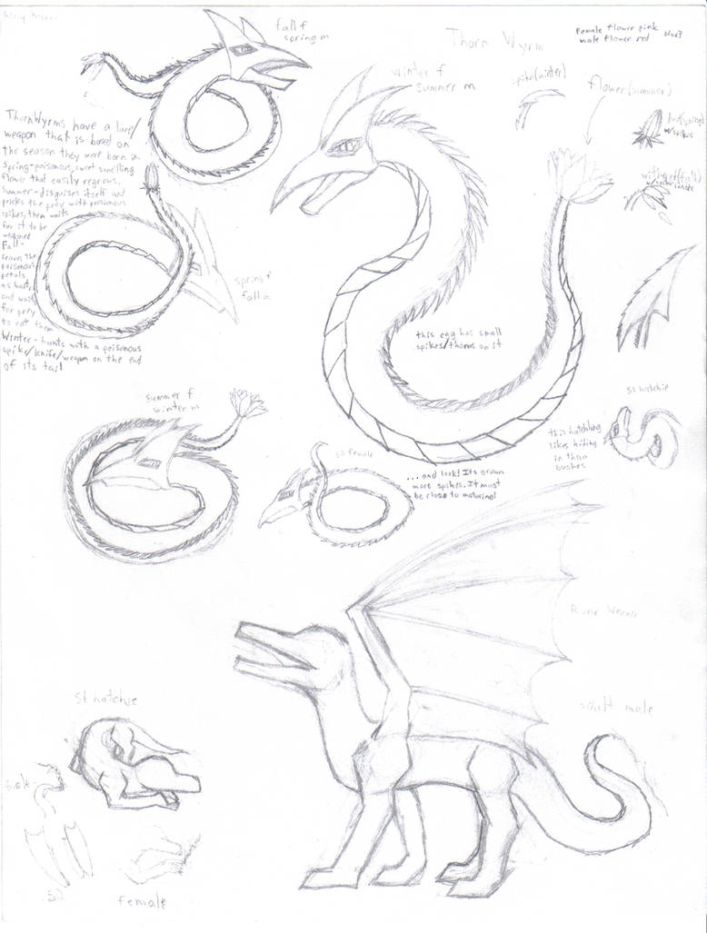 Thorn Wyrm+RuneWeaver concepts by animecrazy151 on DeviantArt