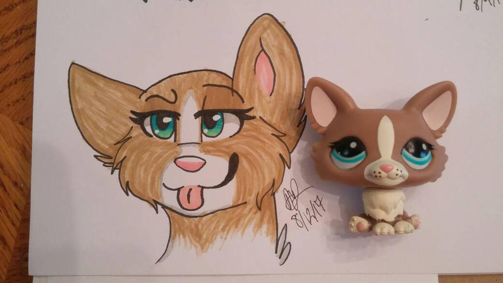 Lps Drawimg Lps drawing by wolfymaples on DeviantArt