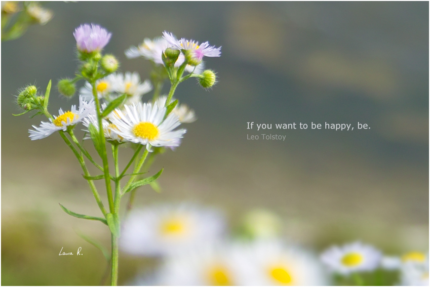If you want to be happy...