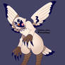 the owl