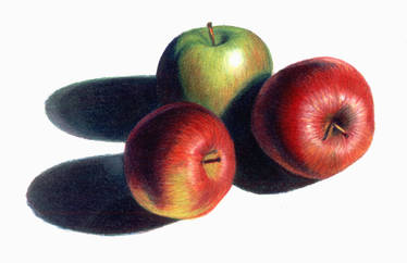 Apples