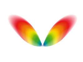 Rainbow wings