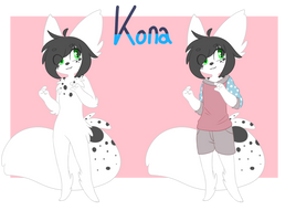 Kona ref sheet