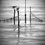 equilibrium