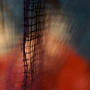 the net by m-lucia