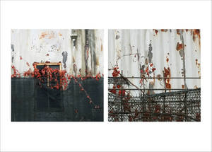 the survivor . opus 2 by m-lucia the survivor . opus 2 by m-lucia