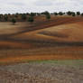 alentejo.pt