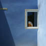 blues.revisited