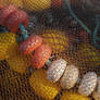 sea spices II